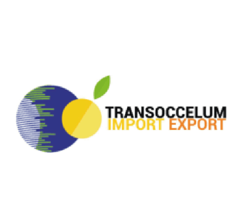 TRANSOCCELUM Import Export